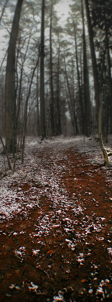 Skrawki - pierwszy śnieg