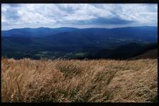 lepsze Bieszczady, nizeli ...