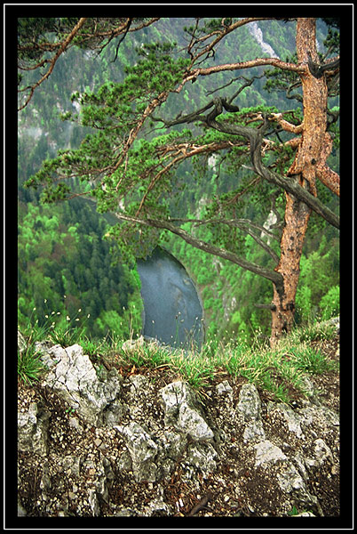 Dunajec z Sokolicy widziany