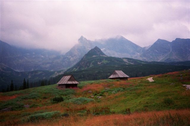 HALA GĄSIENICOWA