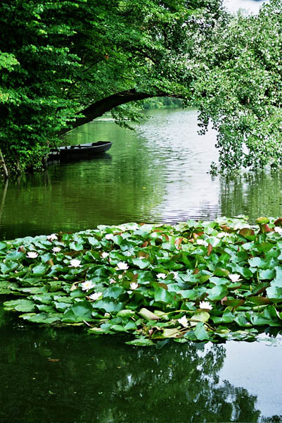 Jezioro Marzeń