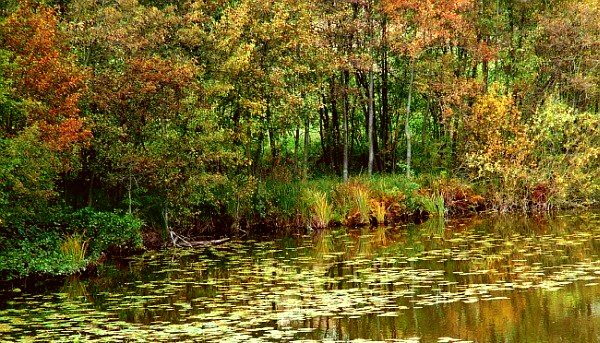 Cygańskie Doły w Szamocinie'