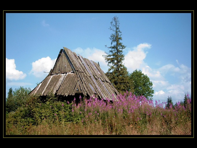 Stara bacówka