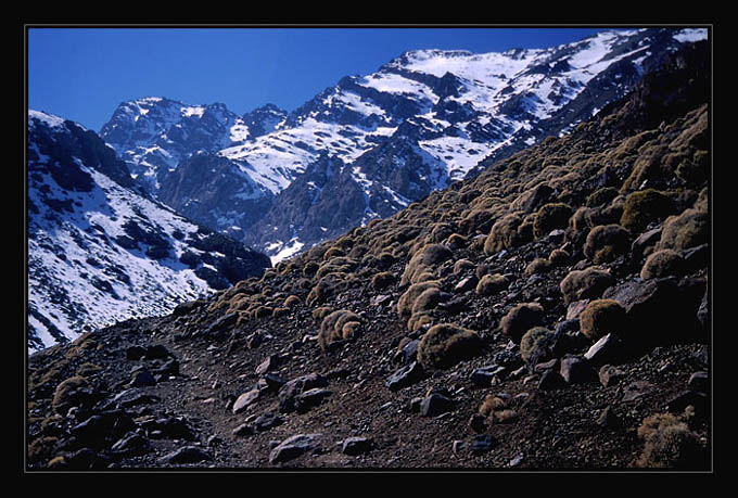 Ścieżka na Jabbel Toubkal