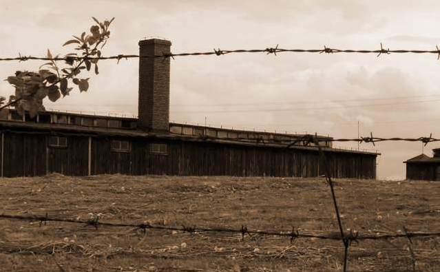 ... majdanek ...