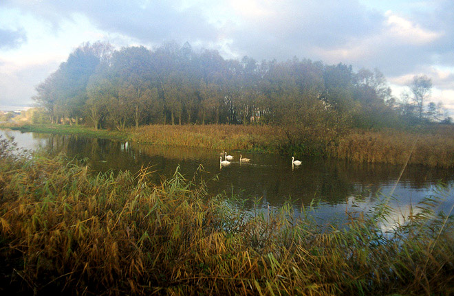 nad rzeczką