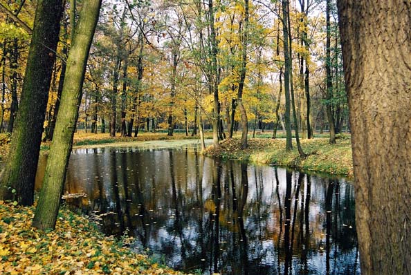 złota jesień