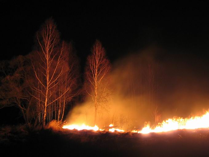 Firemani znów aktywni...