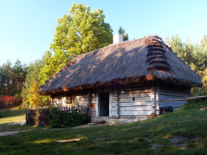 ...coś kolorowego na te pochmurne dni...