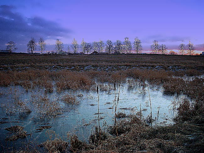 bagienko