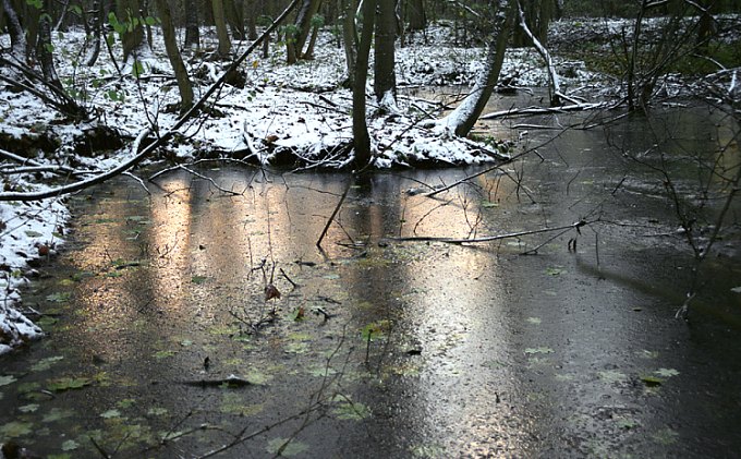 bagienko o zmierzchu