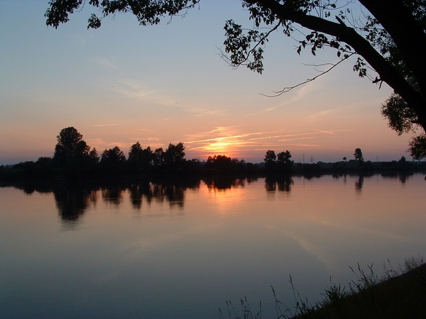 rz. Narew