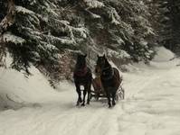 Bieszczady