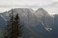 GIEWONT