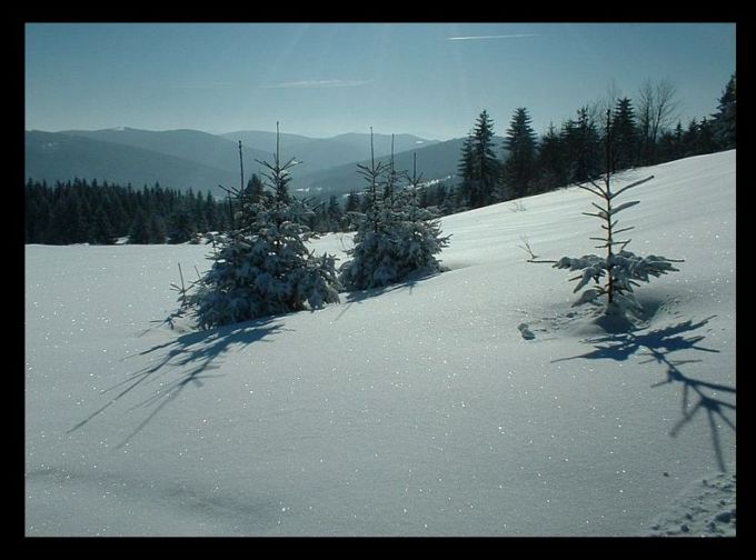 naprawdę zima 16.01.2005