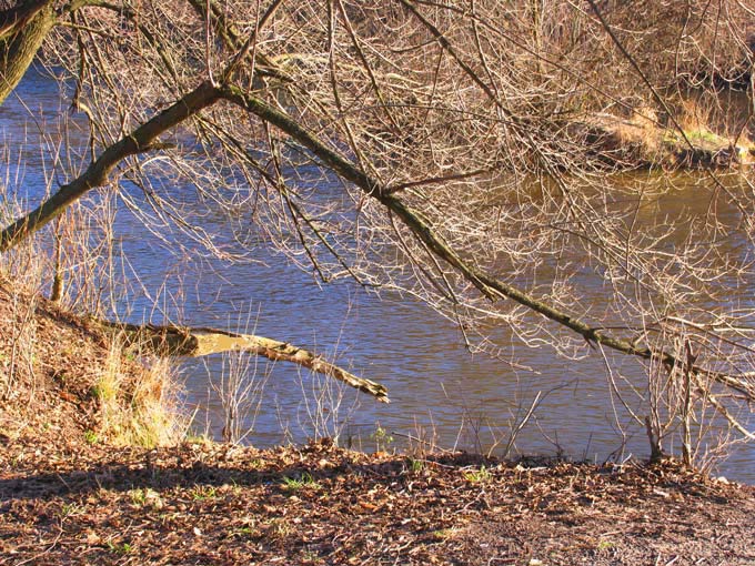 pierwsza połowa stycznia