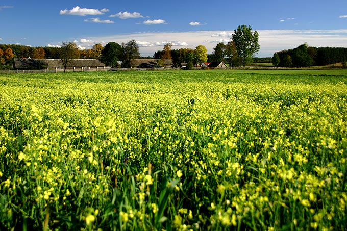 Podlaski jesienny dzień