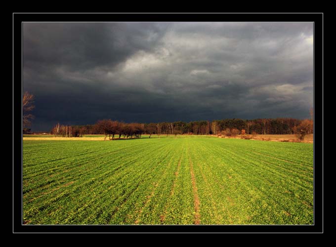 Cisza przed burzą