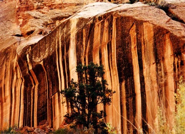 Capitol Reef National Park, Utah, USA