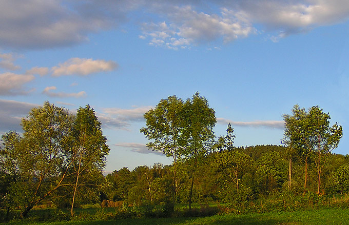 Beskid