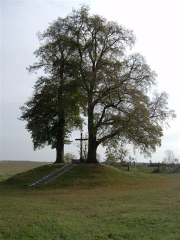 Ołobok 2004