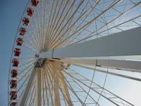 navy pier