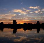 Narew (Lubiel Nowy)