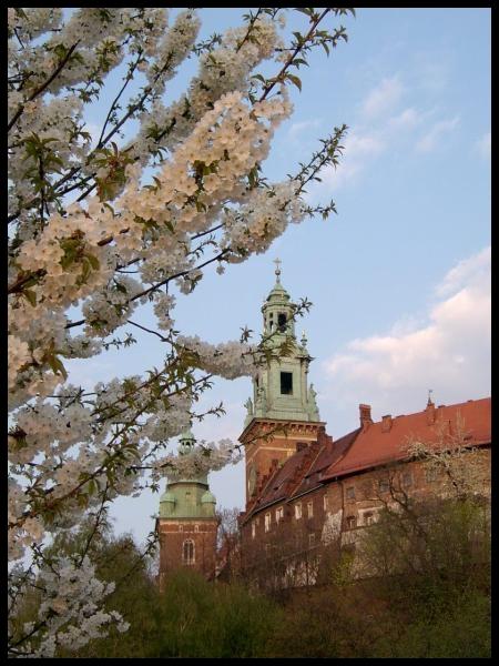 Wiosenny Wawel