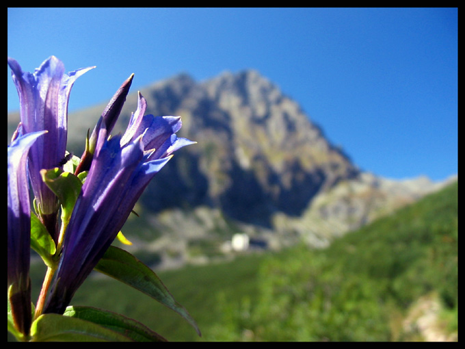 Tatry