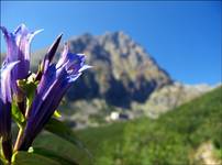 Tatry