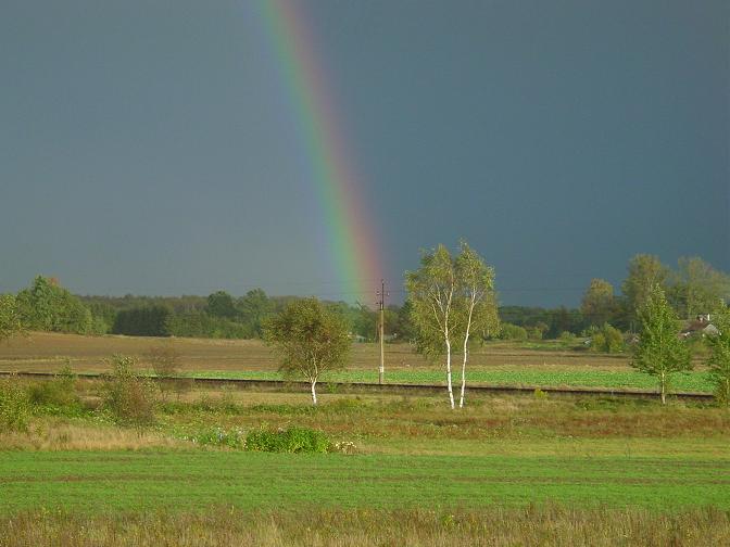 mimo wszystko tęczowo