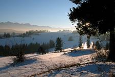 tatry..widok z bukowiny ))