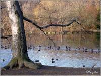 Park Południowy we Wrocławiu, grudzień 2004