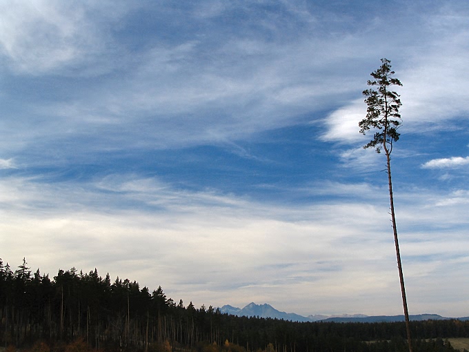 Samotność z widokiem na Tatry