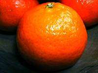 Mandarine