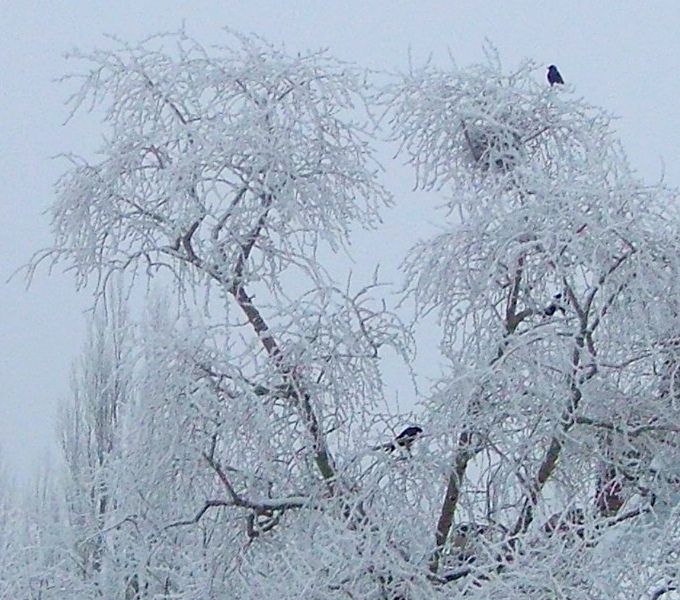 Piękna jest zima