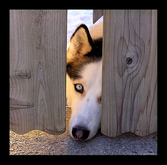 Coul you open the door,please