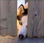 Coul you open the door,please