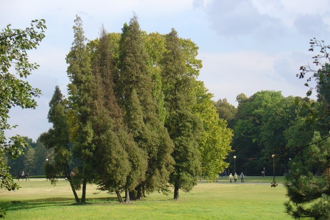 Park w Świerklańcu