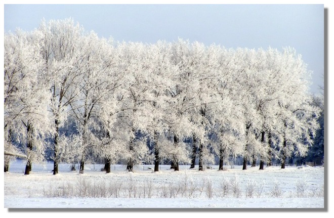 Zima na Podlasiu