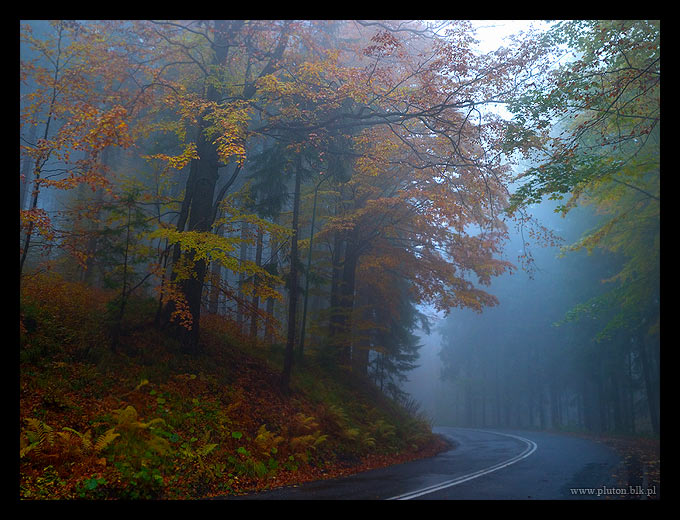 czekam na wiatr co rozgoni....