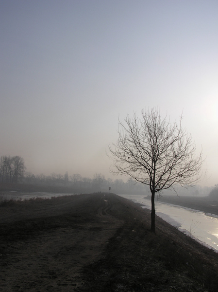 dziś rano nad Odrą