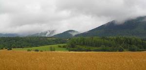 Taki sobie widoczek - panorama