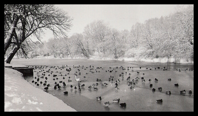 Park Kasprowicza