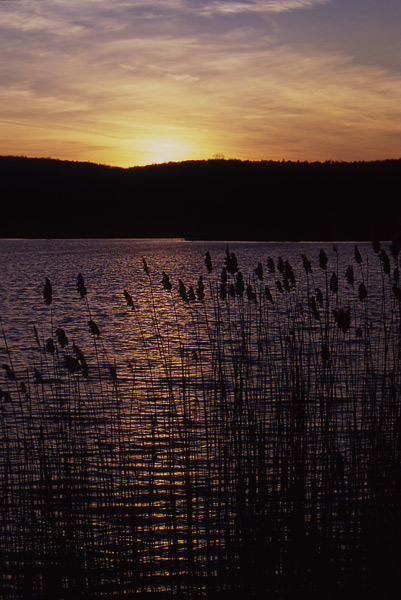 Wieczór nad jeziorem