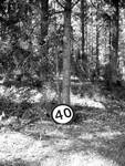 Speed limit