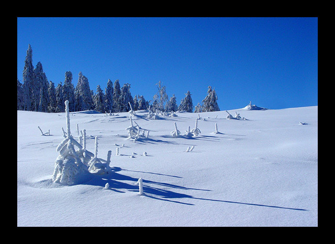 straznicy rewolucji