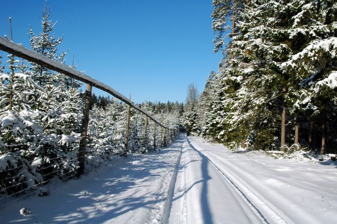 Podlasie zimą