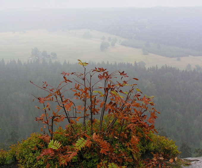 ponad mgłą