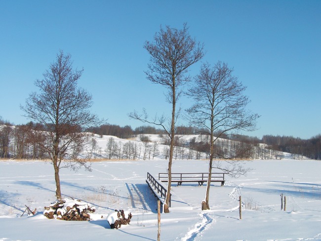 Frozen Lake